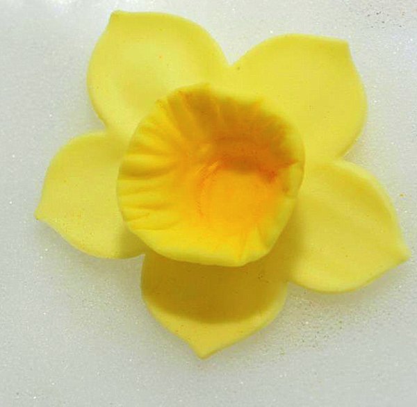 1-daffodils-001