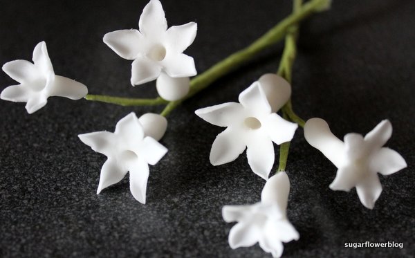 fondant icing flowers