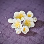 Frangipani fondant flowers