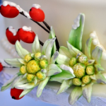 Beautiful Edelweiss flowers at CakeCentral