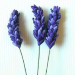 Lavender Tutorial by 'A Glug of Oil