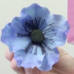 Purple Anemone - video tutorial by Kaysie Lackey