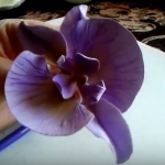 Orchid video tutorial by SDCakes.