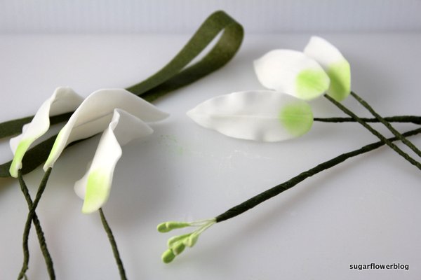 White fondant stargazer lily 1