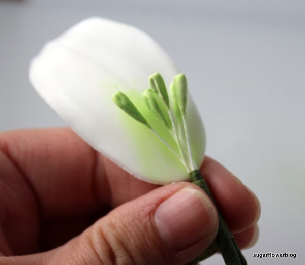 White fondant stargazer lily 2