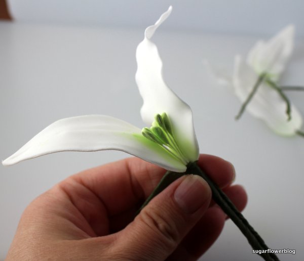 White fondant stargazer lily 3