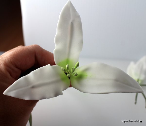 White fondant stargazer lily 4