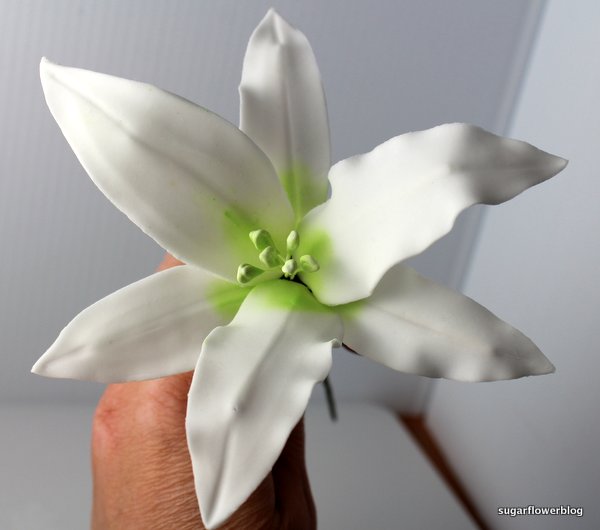 White fondant stargazer lily 5
