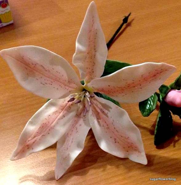 Pink fondant lily